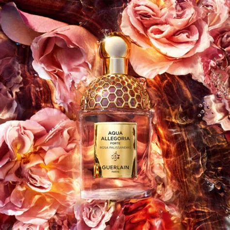 Guerlain Aqua Allegoria Forte Rosa Palissandro .